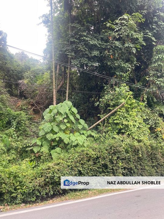 [PENANG BRIDE AND SEAVIEW] Development Land Batu Maung, Pulau Pinang For Sale, Penang, Bayan Lepas