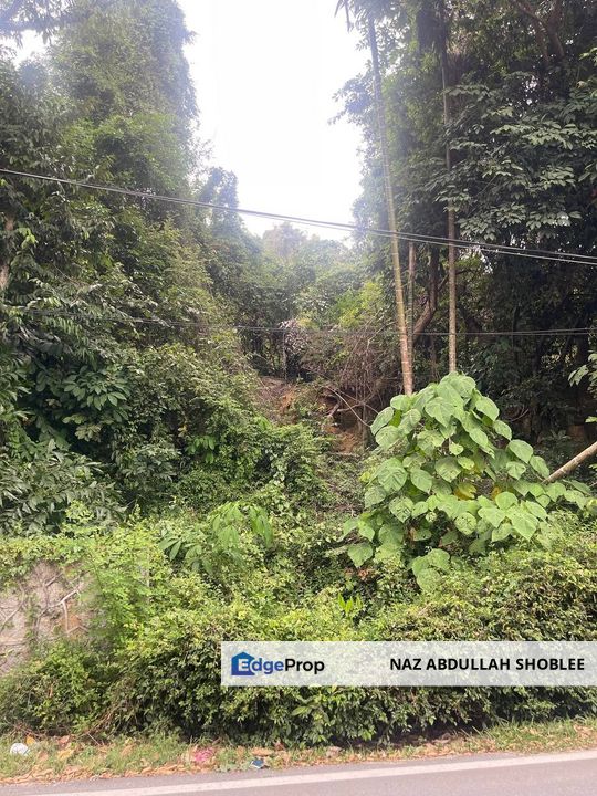 [PENANG BRIDE AND SEAVIEW] Development Land Batu Maung, Pulau Pinang For Sale, Penang, Bayan Lepas