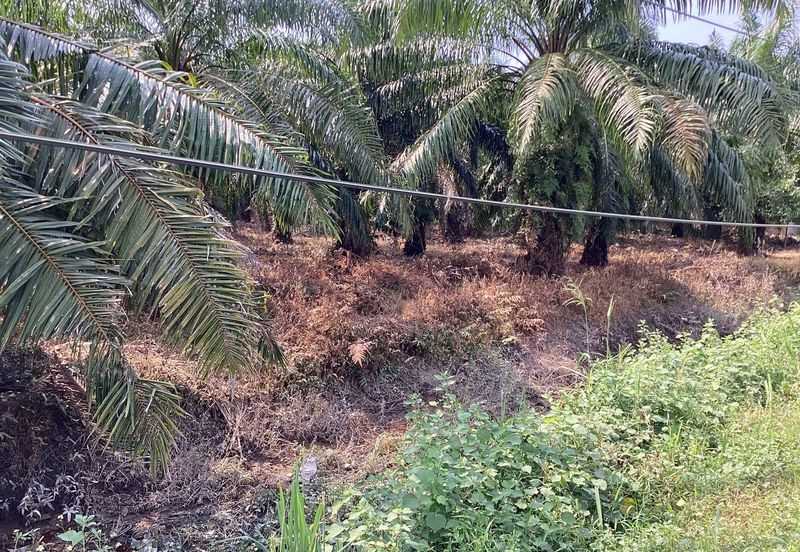 Residential Potential Development Land Bukit Kemandul, Jenjarom For Sale