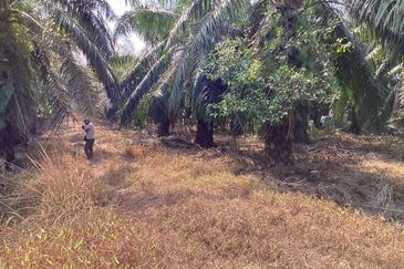 Residential Potential Development Land Bukit Kemandul, Jenjarom For Sale