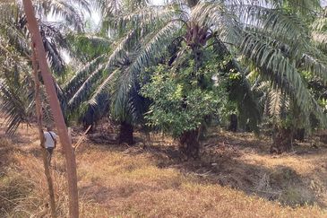 Residential Potential Development Land Bukit Kemandul, Jenjarom For Sale