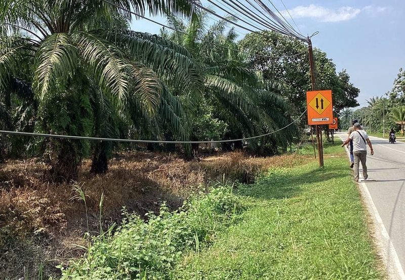 Residential Potential Development Land Bukit Kemandul, Jenjarom For Sale