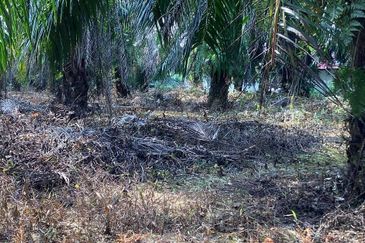 Residential Potential Development Land Bukit Kemandul, Jenjarom For Sale