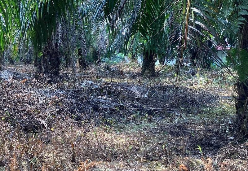 Residential Potential Development Land Bukit Kemandul, Jenjarom For Sale