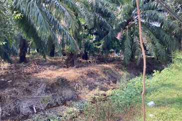 Residential Potential Development Land Bukit Kemandul, Jenjarom For Sale