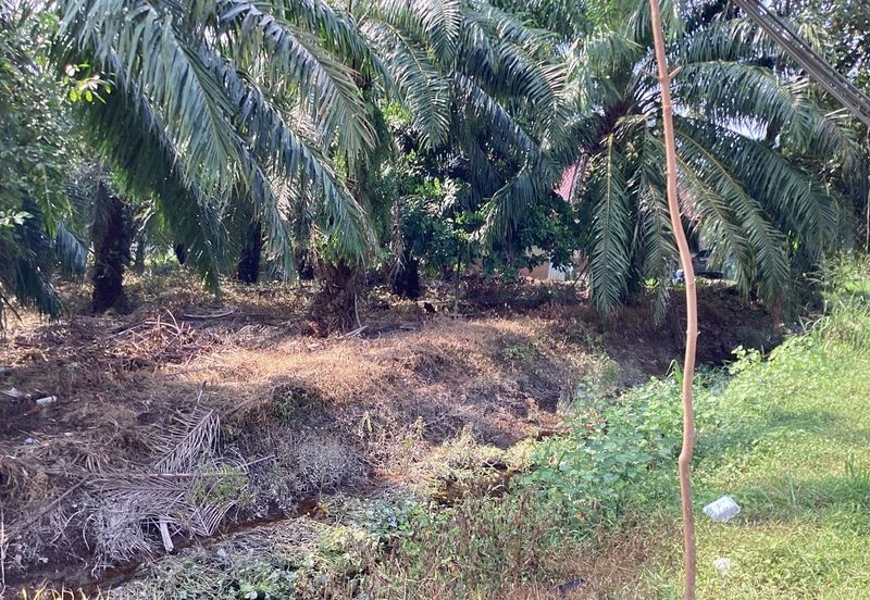 Residential Potential Development Land Bukit Kemandul, Jenjarom For Sale