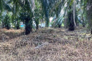 Residential Potential Development Land Bukit Kemandul, Jenjarom For Sale