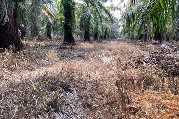 Residential Potential Development Land Bukit Kemandul, Jenjarom For Sale