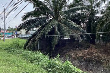 Residential Potential Development Land Bukit Kemandul, Jenjarom For Sale