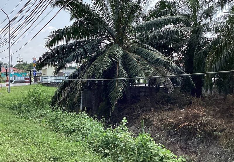 Residential Potential Development Land Bukit Kemandul, Jenjarom For Sale