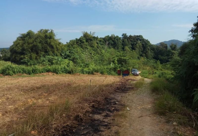 Bandar Country Homes