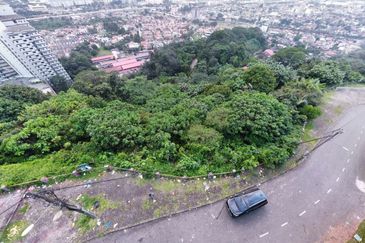 Bukit Gasing, Seksyen 5