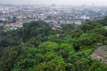 Bukit Gasing, Seksyen 5