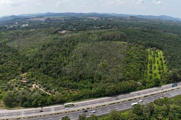 3 Parcels of Agriculture Land Pegoh, Alor Gajah For Sale