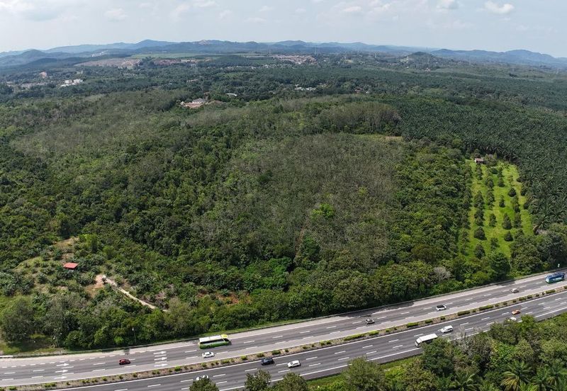 3 Parcels of Agriculture Land Pegoh, Alor Gajah For Sale