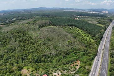 3 Parcels of Agriculture Land Pegoh, Alor Gajah For Sale