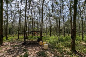 3 Parcels of Agriculture Land Pegoh, Alor Gajah For Sale