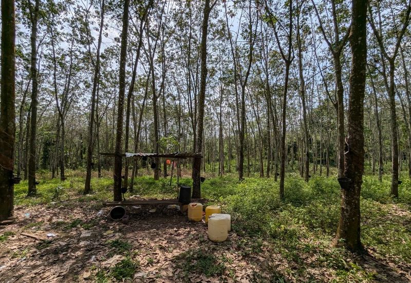 3 Parcels of Agriculture Land Pegoh, Alor Gajah For Sale