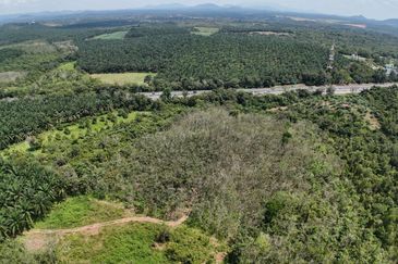 3 Parcels of Agriculture Land Pegoh, Alor Gajah For Sale