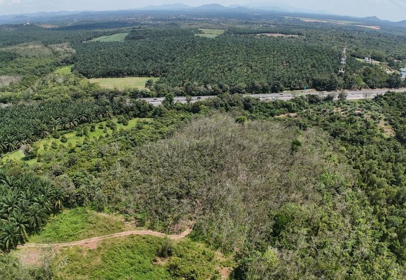 3 Parcels of Agriculture Land Pegoh, Alor Gajah For Sale