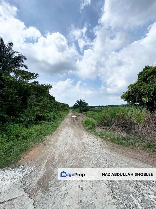 Industrial Potential Development Land Sungai Pelek, Sepang For Sale, Selangor, Sepang