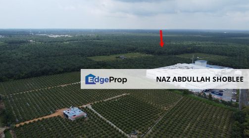 Industrial Potential Development Land Sungai Pelek, Sepang For Sale, Selangor, Sepang
