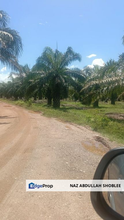 Industrial Potential Development Land Jeram, Kuala Selangor For Sale, Selangor, Jeram