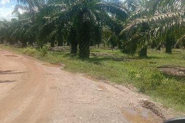 Industrial Potential Development Land Jeram, Kuala Selangor For Sale