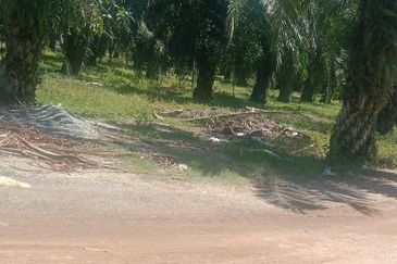 Industrial Potential Development Land Jeram, Kuala Selangor For Sale