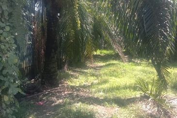 Industrial Potential Development Land Jeram, Kuala Selangor For Sale
