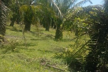 Industrial Potential Development Land Jeram, Kuala Selangor For Sale