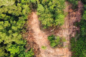 Seksyen 7, Shah Alam