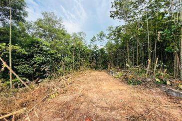 Seksyen 7, Shah Alam