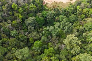 Residential Potential Development Land Mont Kiara, Kuala Lumpur For Sale