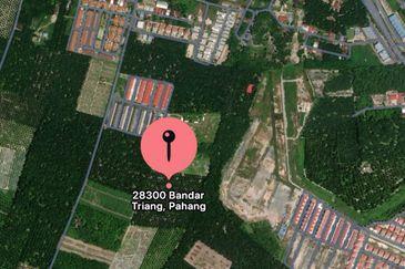 Residential Potential Development Land Triang Bera, Pahang For Sale