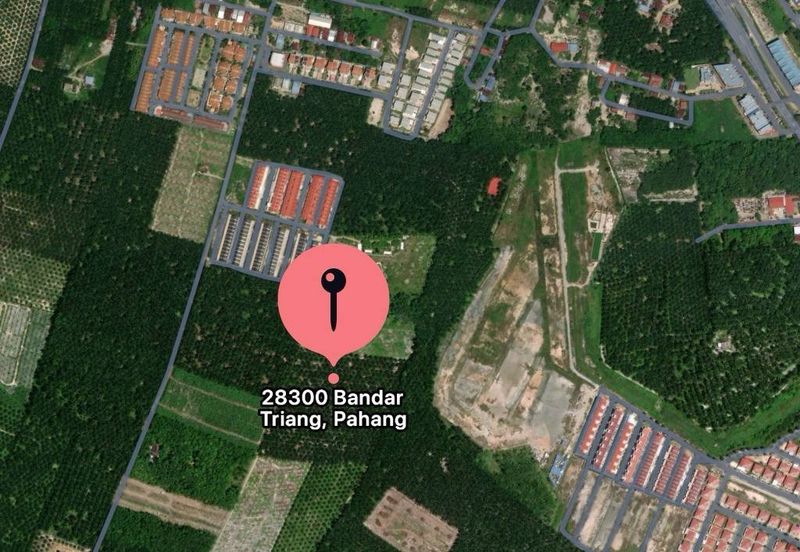 Residential Potential Development Land Triang Bera, Pahang For Sale