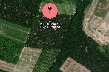 Residential Potential Development Land Triang Bera, Pahang For Sale