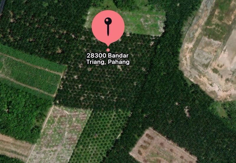 Residential Potential Development Land Triang Bera, Pahang For Sale