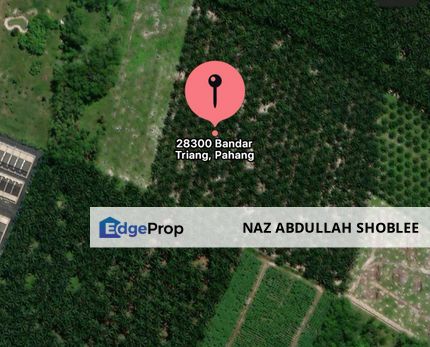 Residential Potential Development Land Triang Bera, Pahang For Sale, Pahang, Bera