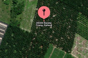 Residential Potential Development Land Triang Bera, Pahang For Sale
