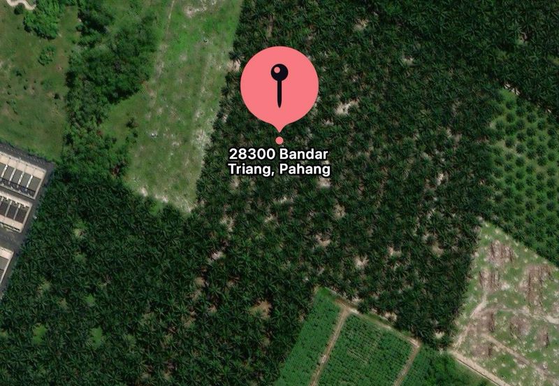 Residential Potential Development Land Triang Bera, Pahang For Sale