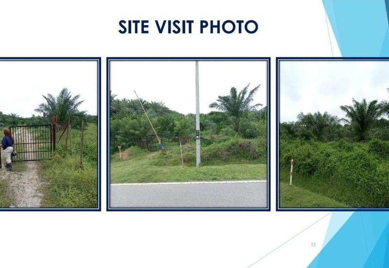 3 Parcels of Agriculture Land Kerling, Hulu Selangor For Sale