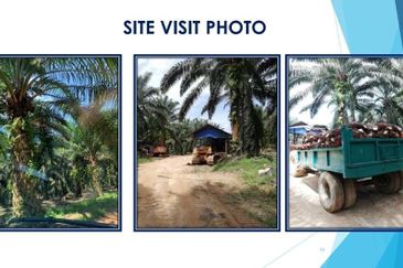 3 Parcels of Agriculture Land Kerling, Hulu Selangor For Sale