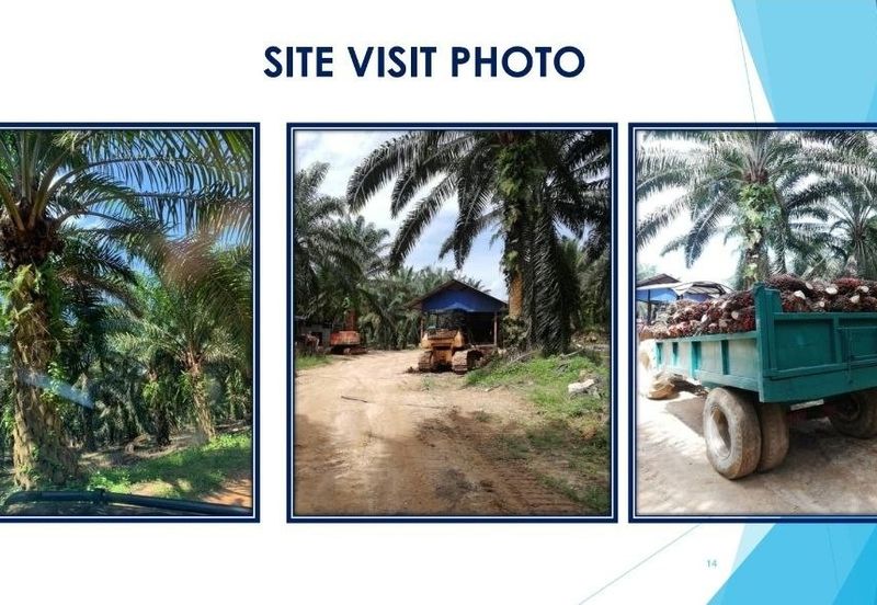 3 Parcels of Agriculture Land Kerling, Hulu Selangor For Sale