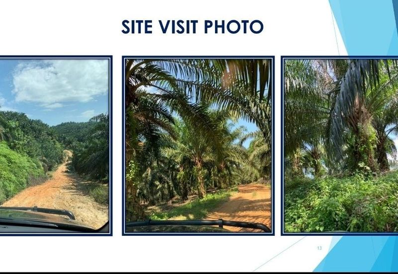 3 Parcels of Agriculture Land Kerling, Hulu Selangor For Sale