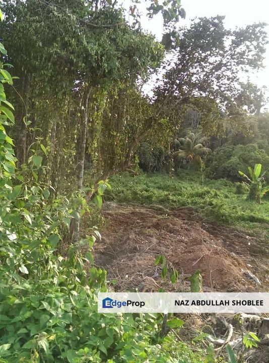 [FRONTING MAIN ROAD] Potential Development Land Slim River, Perak For Sale, Perak, Hilir Perak