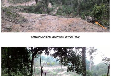 Kampung Sungai Pusu