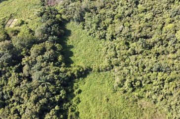 Residential Potential Development Land Jenderam, Dengkil For Sale