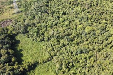 Residential Potential Development Land Jenderam, Dengkil For Sale