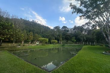 Agriculture Land Kampung Jawa, Hulu Langat For Sale